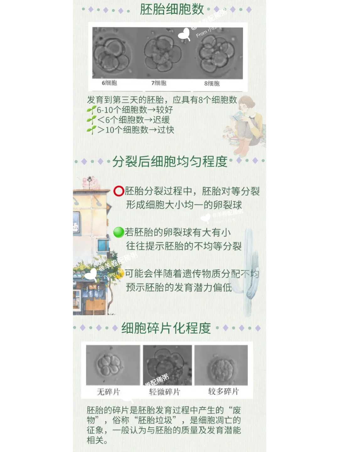 40岁高龄供卵试管成功率解析与提升策略